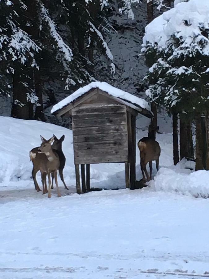Ferienwohnung Bacher Oberkumbichl 900 Mayrhofen Esterno foto